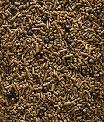 Orlux remiline pateekorrel