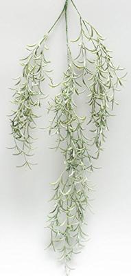 Hoya hanger groen 105cm