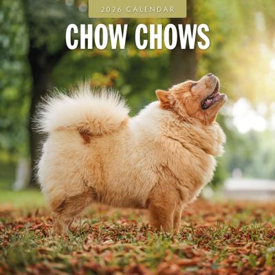 Chow Chow Kalender 2026 Chow Chow Kalender 2026