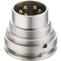 Lumberg SGV 50/6 DIN-connector Stekker, inbouw verticaal Aantal polen: 5 Zilver 1 stuk(s) - thumbnail