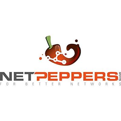 NetPeppers NP-FIBER100 NP-FIBER100 Glasvezeltester Meetbereik: Telecommunicatie, Netwerk