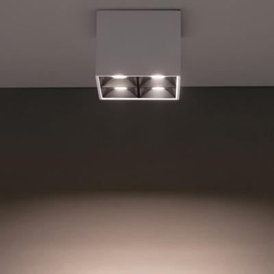 Lyora Witte opbouwspotMidi Led 2x2 leds - 4000K - 10051