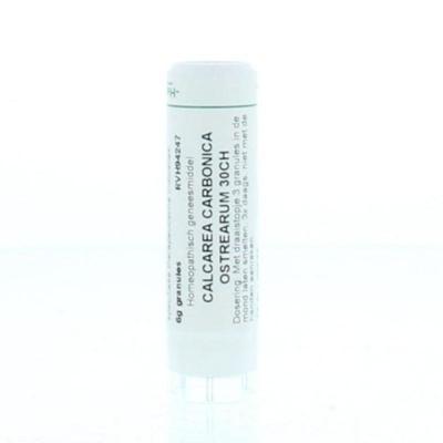 Homeoden Heel Calcarea carbonica ostrearum 30CH 6 Gram