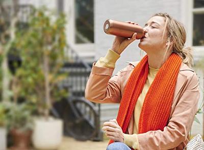 Mepal Isoleerfles Ellipse 500 ml RVS