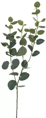 Pure Royal kunsttak eucalyptus 75cm groen Pure Royal kunsttak eucalyptus 75cm groen