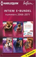 Intiem e-bundel nummers 2066-2071 - Maxine Sullivan, Andrea Laurence, Sherryl Woods, Leanne Banks, Mira Lynn Kelly, Paula Roe - ebook - thumbnail