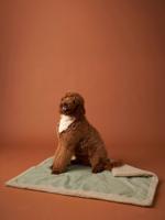 Reistapijt/plaid voor huisdier FAMILY groen, gestreept - thumbnail