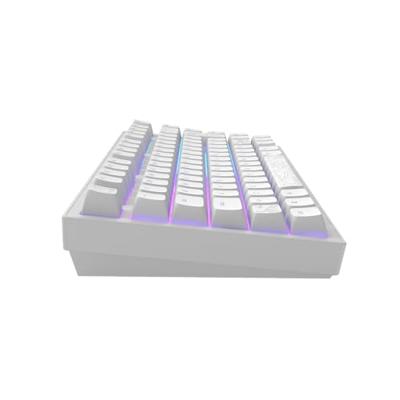 Dark Project ALU81A Terra Nostra Mechanisch gaming-toetsenbord, ISO Multi | Hot-Swap | G3MS Moonstone Gevette Schakelaar | Ingevette stabilisatoren | Flex Gasket Mount | Aluminium | 75% | RGB