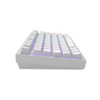 Dark Project ALU81A Terra Nostra Mechanisch gaming-toetsenbord, ISO Multi | Hot-Swap | G3MS Moonstone Gevette Schakelaar | Ingevette stabilisatoren | Flex Gasket Mount | Aluminium | 75% | RGB - thumbnail