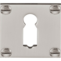Formani | Sleutelplaatje | GSNV38 | 38mm | mat nikkel - thumbnail