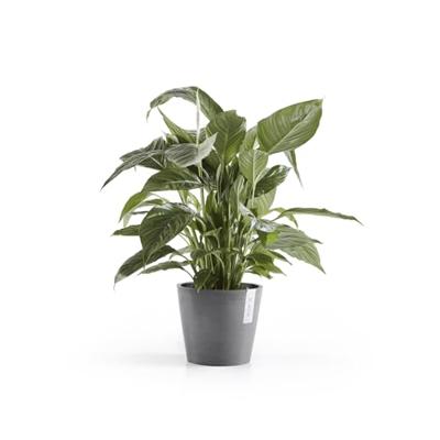 Ecopots Bloempot Amsterdam Ø20cm - Grijs Ecopots Bloempot Amsterdam Ø20cm - Grijs