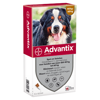 Advantix 600/3000 voor honden van 40 tot 60 kg 2 x 6 pipetten