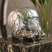 Stormtrooper Terranium - thumbnail