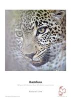 P14271/25 - thumbnail