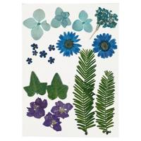 Creotime gedroogde blauwe bloemen en bladeren 19 stuks multicolor - thumbnail