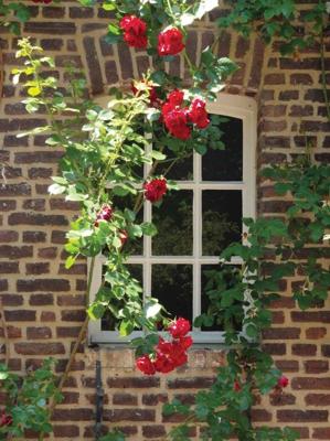 Raam bloemen 50x70cm Tuinschilderij Customize-it - Customize it