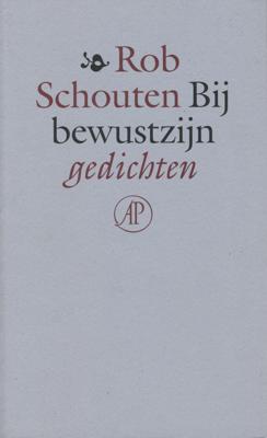 Bij bewustzijn - Rob Schouten - ebook