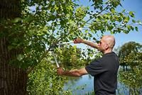 Felco Takkenschaar | lengte 600 mm | snijvermogen 35 mm | gewicht 885 g | 1 stuk - Felco 211-60 Felco 211-60 - thumbnail