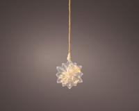 Micro Led Ster met droogbloemen Ø 19cm - thumbnail