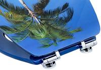 Cornat Wc-Bril Acrylaat Eiland Sc Bl - KSDSC320 - thumbnail