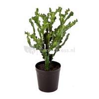 Kunstplant Mountain cactus XL - thumbnail