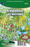 Aan zonnig kreupelhout en bosrand zaden - thumbnail