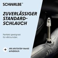 SCHWALBE bnb sv19 27.5 x 2.00 29 x 2.40 fv 60mm - thumbnail