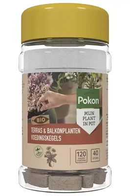 Pokon Bio Terras en Balkon Planten Voedingskegels 40st