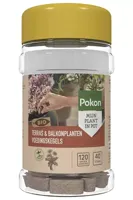 Pokon Bio Terras en Balkon Planten Voedingskegels 40st - thumbnail