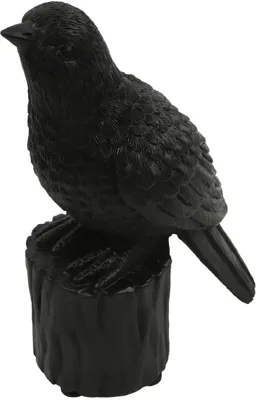 Countryfield ornament polystone karolus vogel met geluid 10x6x15.8cm zwart