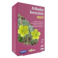 Trenker Tribulus Terrestris Max Capsules - thumbnail
