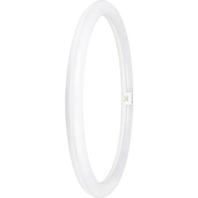 LEDVANCE LED-buis-Globe Energielabel: E (A - G) G10q 24 W Neutraalwit 1 stuk(s) (Ø x l) 400.00 mm x 400.00 mm LEDVANCE LED-buis-Globe Energielabel: E (A - G) G10q 24 W Neutraalwit 1 stuk(s) (Ø x l) 400.00 mm x 400.00 mm