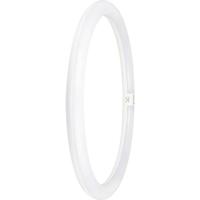 LEDVANCE LED-buis-Globe Energielabel: E (A - G) G10q 24 W Neutraalwit 1 stuk(s) (Ø x l) 400.00 mm x 400.00 mm - thumbnail