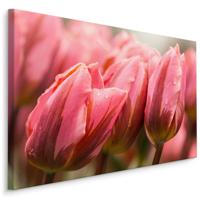 Schilderij - Roze tulpen, premium print - thumbnail