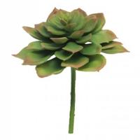 Kunst Echeveria Vetplant 17 cm - Green Kunstplant Nova Nature - Nova nature - thumbnail