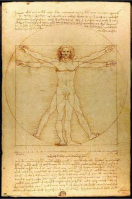 Poster Vitruvian Man 61x91,5cm