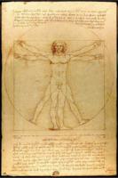Poster Vitruvian Man 61x91,5cm - thumbnail