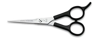 Schaar voor huisdieren 3 Claveles Academia (15,2 cm)