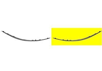 BUMPERLIJST LINKS VOOR A/EL Chroom 3043581