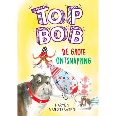 De grote ontsnapping (Hardback)
