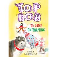 De grote ontsnapping (Hardback) - thumbnail