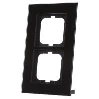 Busch-Jaeger 2CKA001754A4323 Frame Frame 2-voudig Carat Zwart 1 stuk(s) - thumbnail