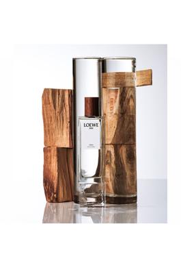 Loewe 001 Man Eau de toilette Spray 100 ml