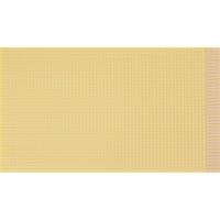 Rademacher WR-Typ 820 Printplaat Hardpapier (l x b) 160 mm x 100 mm 35 µm Rastermaat 2.54 mm Inhoud 1 stuk(s) - thumbnail