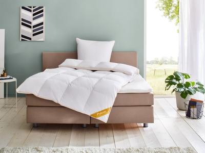 Balette deLuxe ganzendons cassette dekbed Gold Edition extra warm (200 x 220 cm)