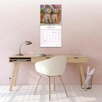 Weimaraner Kalender 2026 - thumbnail