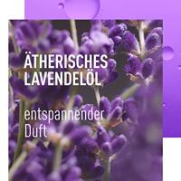 Adidas Adidas Showergel Pre Sleep Calm 250 ml - thumbnail