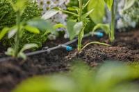 Seriedruppelaar 2 l/u Gardena - Gardena - thumbnail