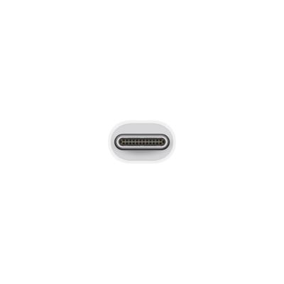 Apple Thunderbolt 3 (USB-C) Adapter voor Thunderbolt 2