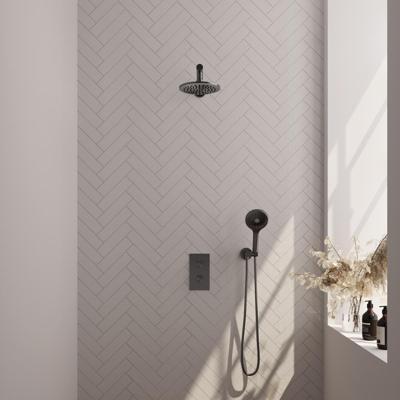 Regendoucheset Inbouw Brauer Gunmetal Edition Thermostatisch 20 cm met 3-Weg Omstelling, Wandarm en 3-Standen Handdouche Geborsteld Gunmetal Brauer Regendoucheset Inbouw Brauer Gunmetal Edition Thermostatisch 20 cm met 3-Weg Omstelling, Wandarm en 3-Standen Handdouche Geborsteld Gunmetal Brauer